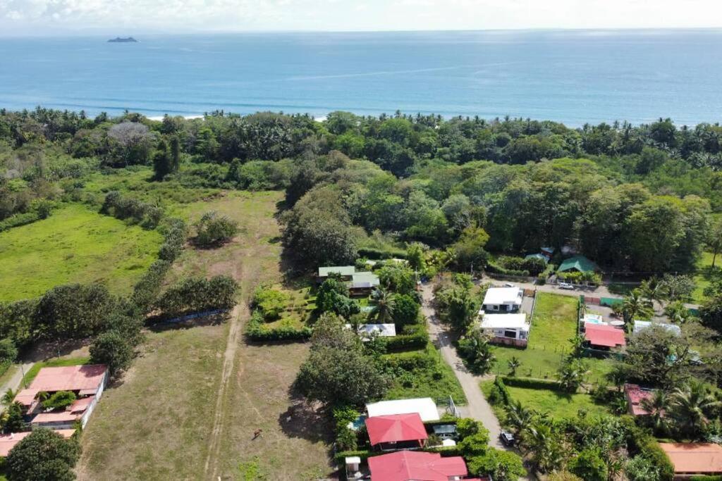 Casa Toucan Mit Privat Pool Near Np Ballena Uvita Exteriör bild