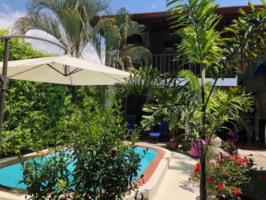 Casa Toucan Mit Privat Pool Near Np Ballena Uvita Exteriör bild