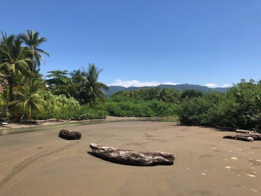 Casa Toucan Mit Privat Pool Near Np Ballena Uvita Exteriör bild