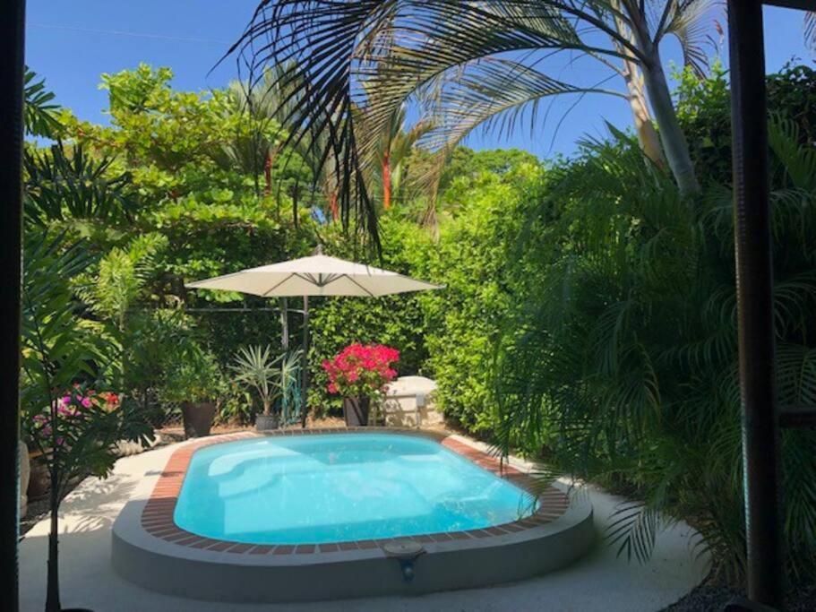 Casa Toucan Mit Privat Pool Near Np Ballena Uvita Exteriör bild