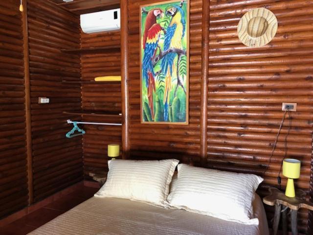 Casa Toucan Mit Privat Pool Near Np Ballena Uvita Exteriör bild