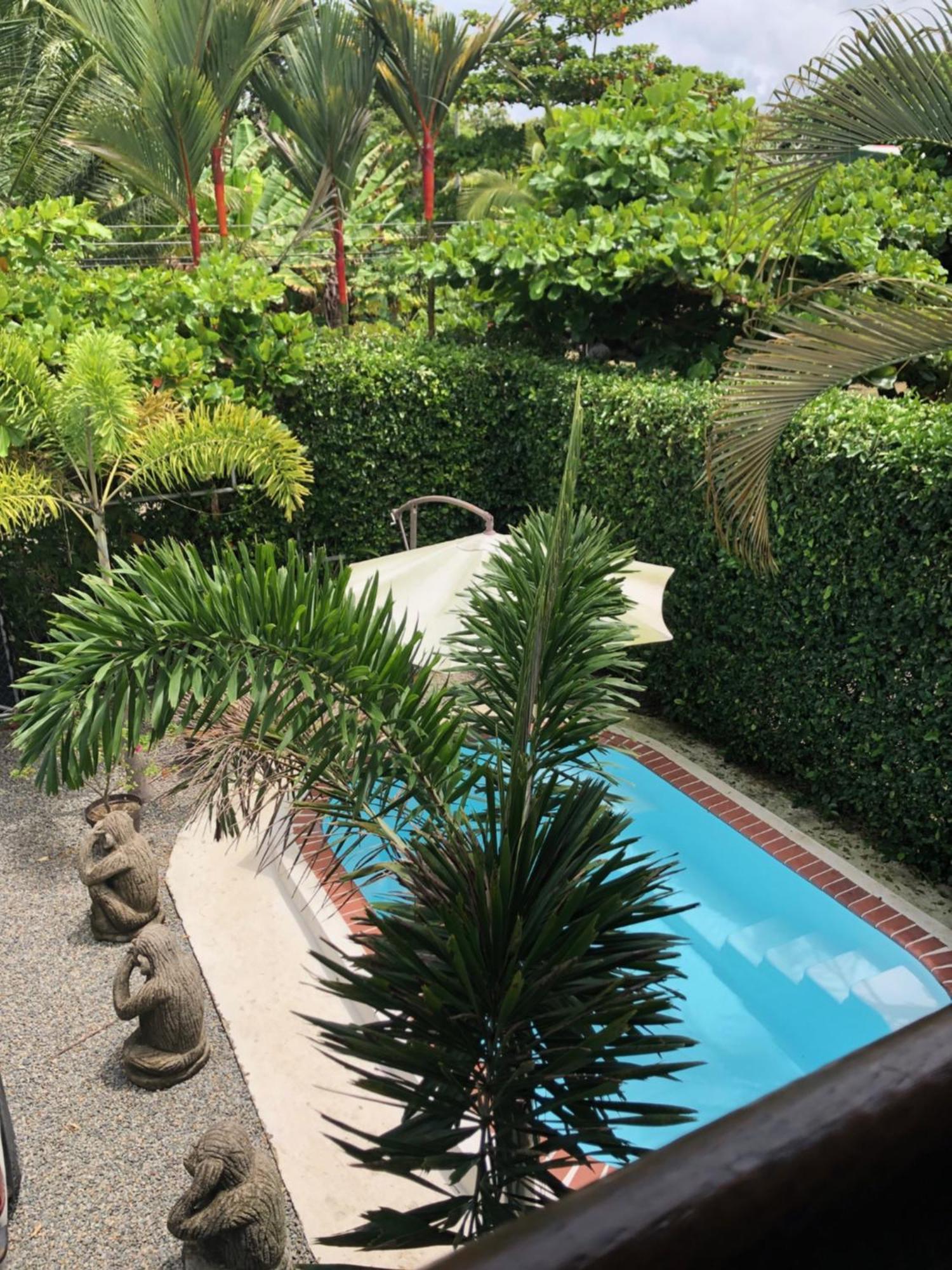 Casa Toucan Mit Privat Pool Near Np Ballena Uvita Exteriör bild
