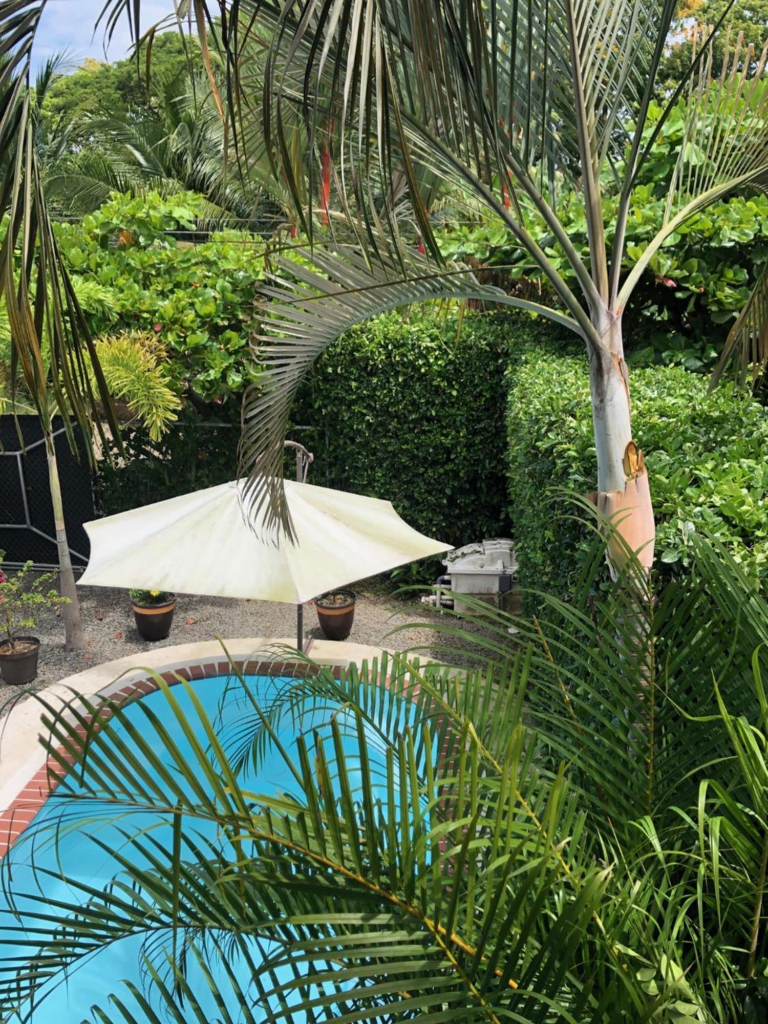 Casa Toucan Mit Privat Pool Near Np Ballena Uvita Exteriör bild